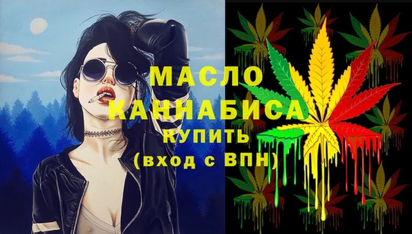 Альфа ПВП Верея
