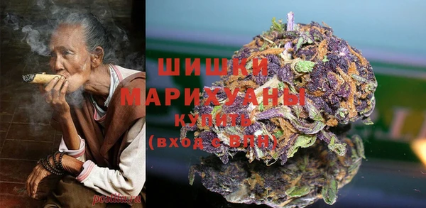 Альфа ПВП Верея