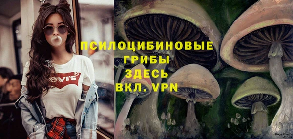 прущие грибы Семилуки