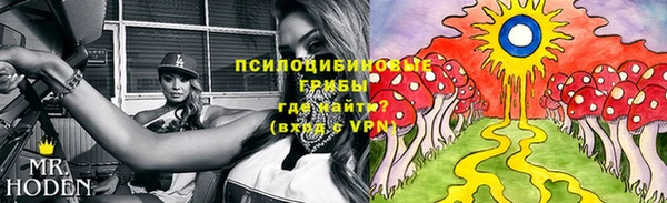 Альфа ПВП Верея