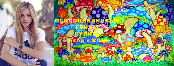 бошки Верхний Тагил