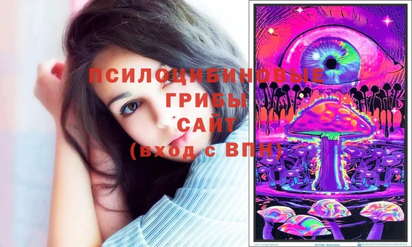 бошки Верхний Тагил