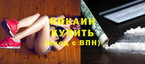 Альфа ПВП Верея